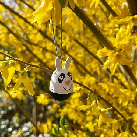 Draussenzeit In Thueringen *